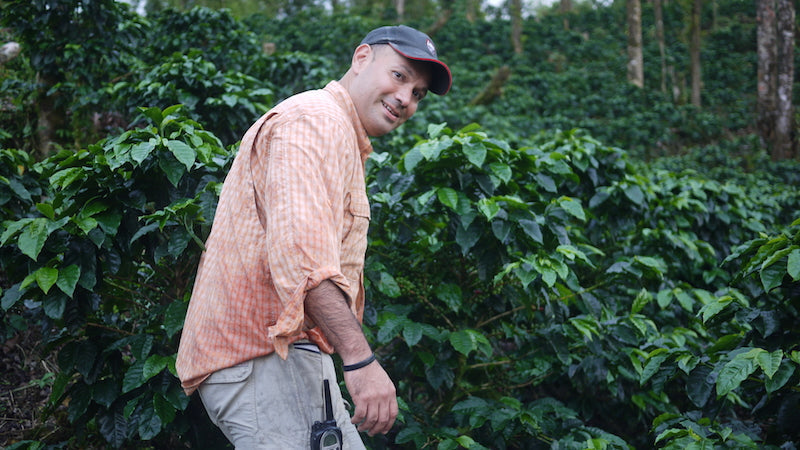 Nicaragua - Finca San Jose de las Nubes - Maragogipe