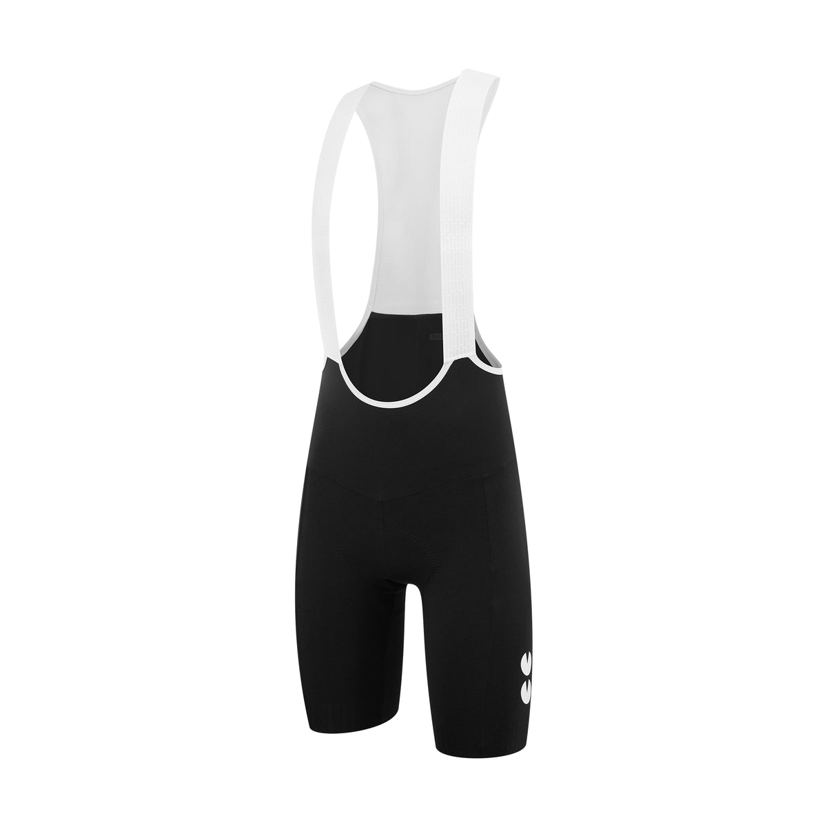 The Evergreen Bib